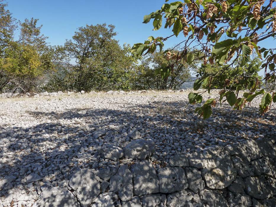Ligne Maginot - TETE DU LOUP - (Position d'artillerie préparée) - Remarquez comme la place est bien de niveau - Jean-François PERRIGAULT