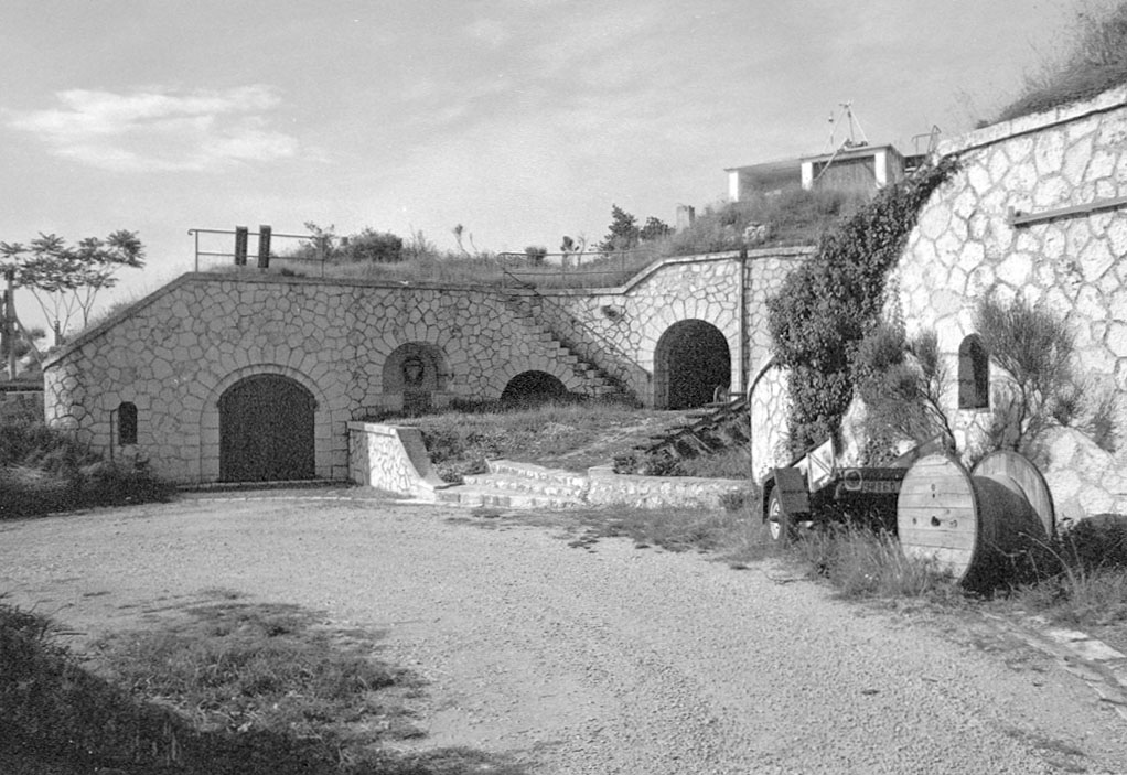 Ligne Maginot - TETE DE CHIEN - FORT MASSENA (6° BIE - 157° RAP) - (Position d'artillerie préparée) -  - Alain Loviny