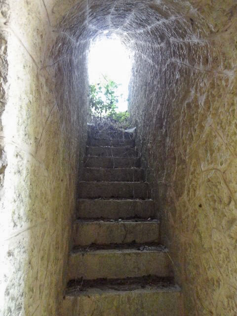 Ligne Maginot - TETE DE CHIEN - FORT MASSENA (6° BIE - 157° RAP) - (Position d'artillerie préparée) - Accès au fossé du fort - Laurent ICARDO