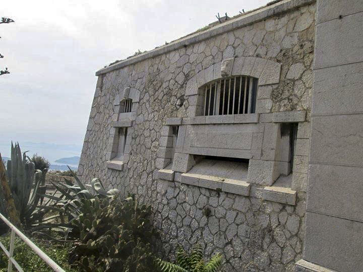 Ligne Maginot - TETE DE CHIEN - FORT MASSENA (6° BIE - 157° RAP) - (Position d'artillerie préparée) -  - Michel LAUGIER