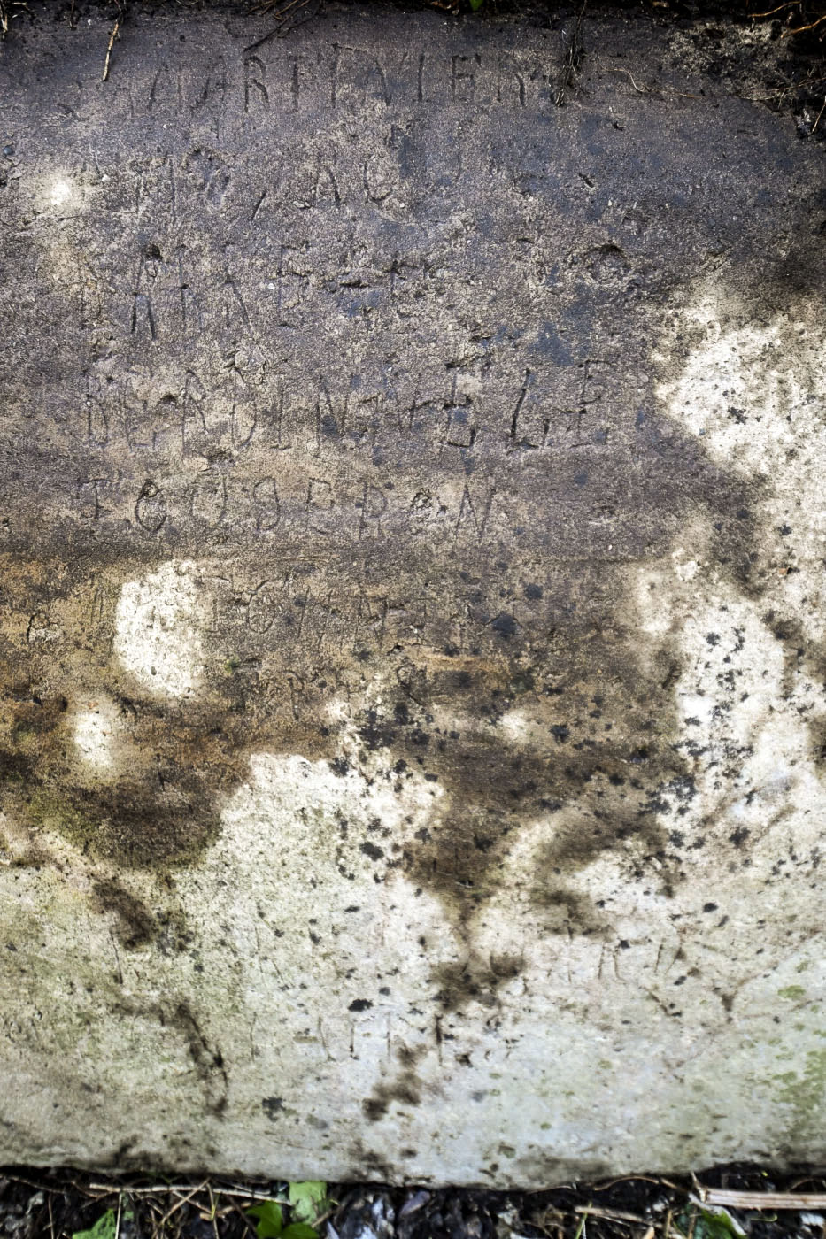 Ligne Maginot - SAINT LOUIS NEUWEG 3 - (Blockhaus pour arme infanterie) -  - Ludovic KNAPP