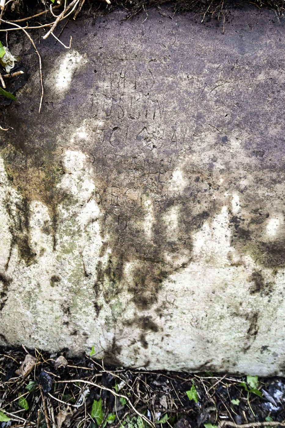 Ligne Maginot - SAINT LOUIS NEUWEG 3 - (Blockhaus pour arme infanterie) -  - Ludovic KNAPP