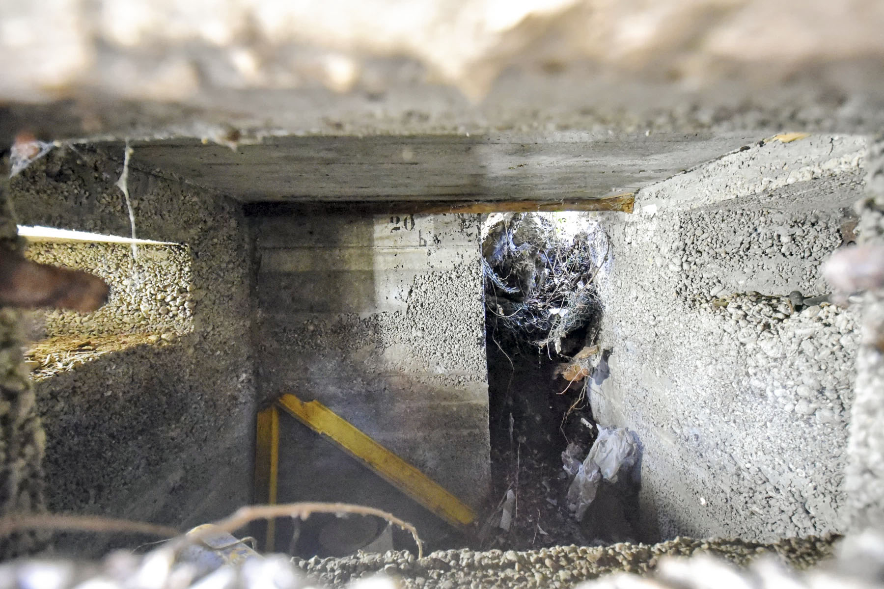 Ligne Maginot - SAINT LOUIS NEUWEG 3 - (Blockhaus pour arme infanterie) -  - Ludovic KNAPP