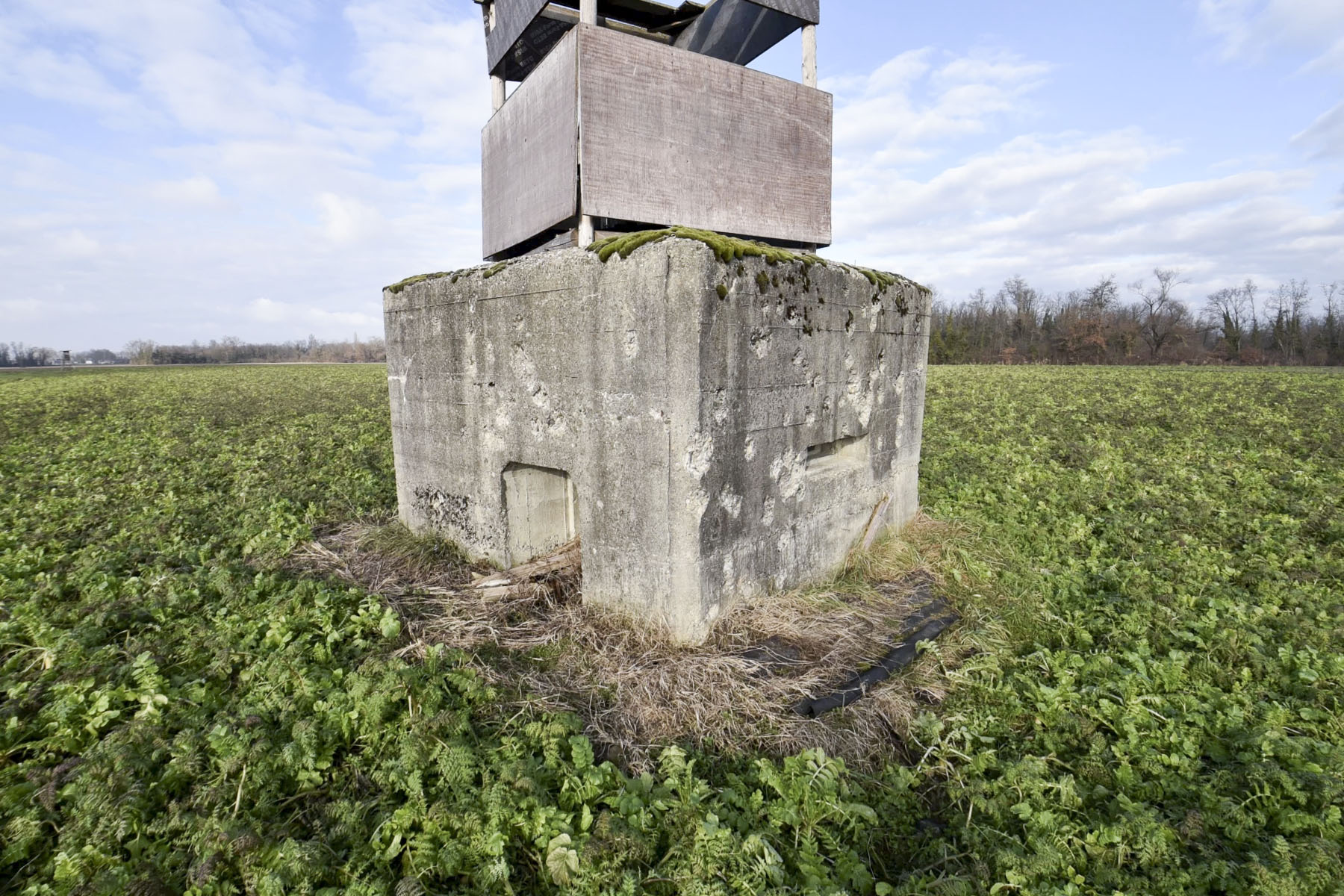 Ligne Maginot - EISWASSER NORD - (Blockhaus pour arme infanterie) -  - Ludovic KNAPP