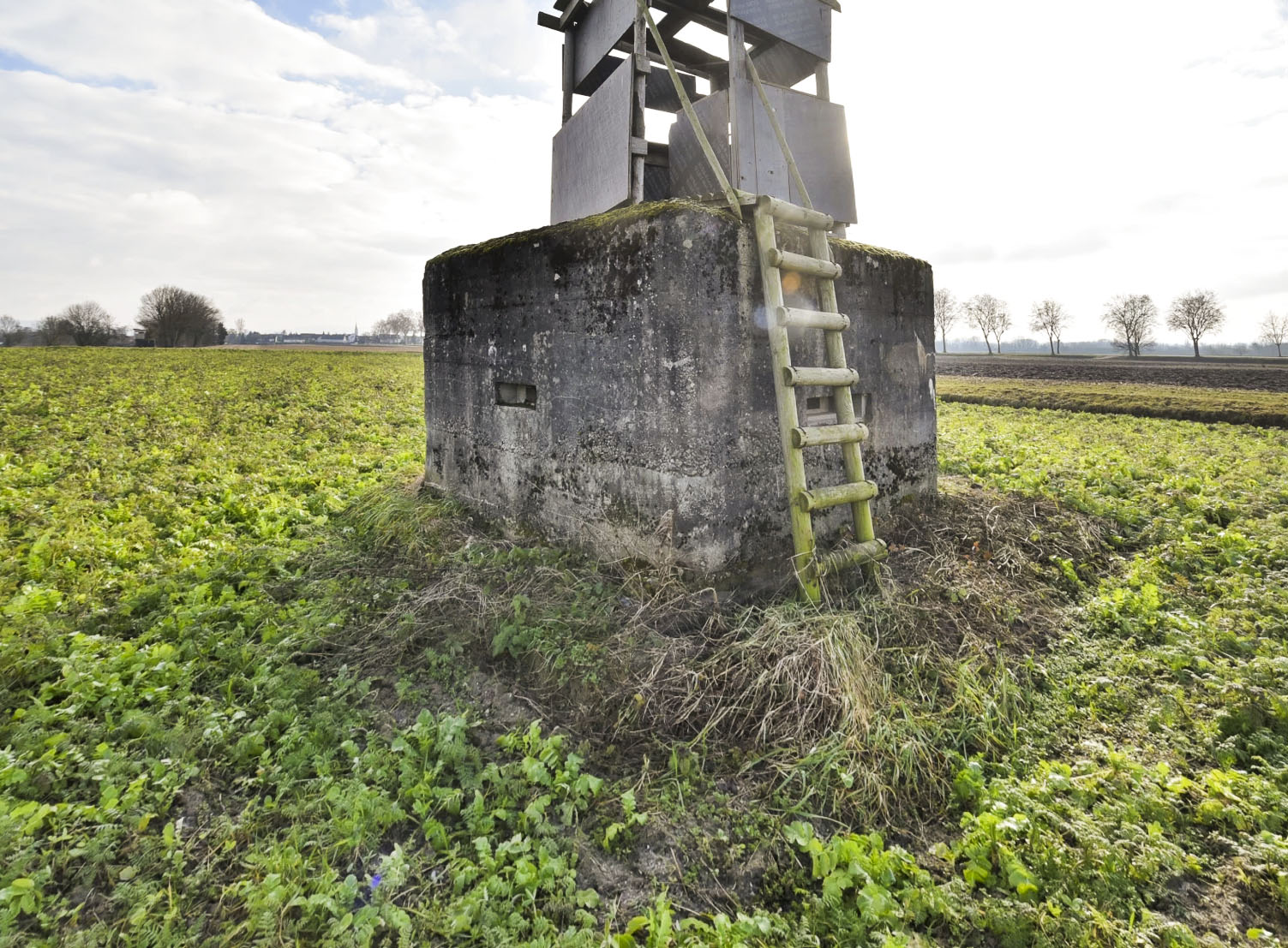 Ligne Maginot - EISWASSER NORD - (Blockhaus pour arme infanterie) -  - Ludovic KNAPP