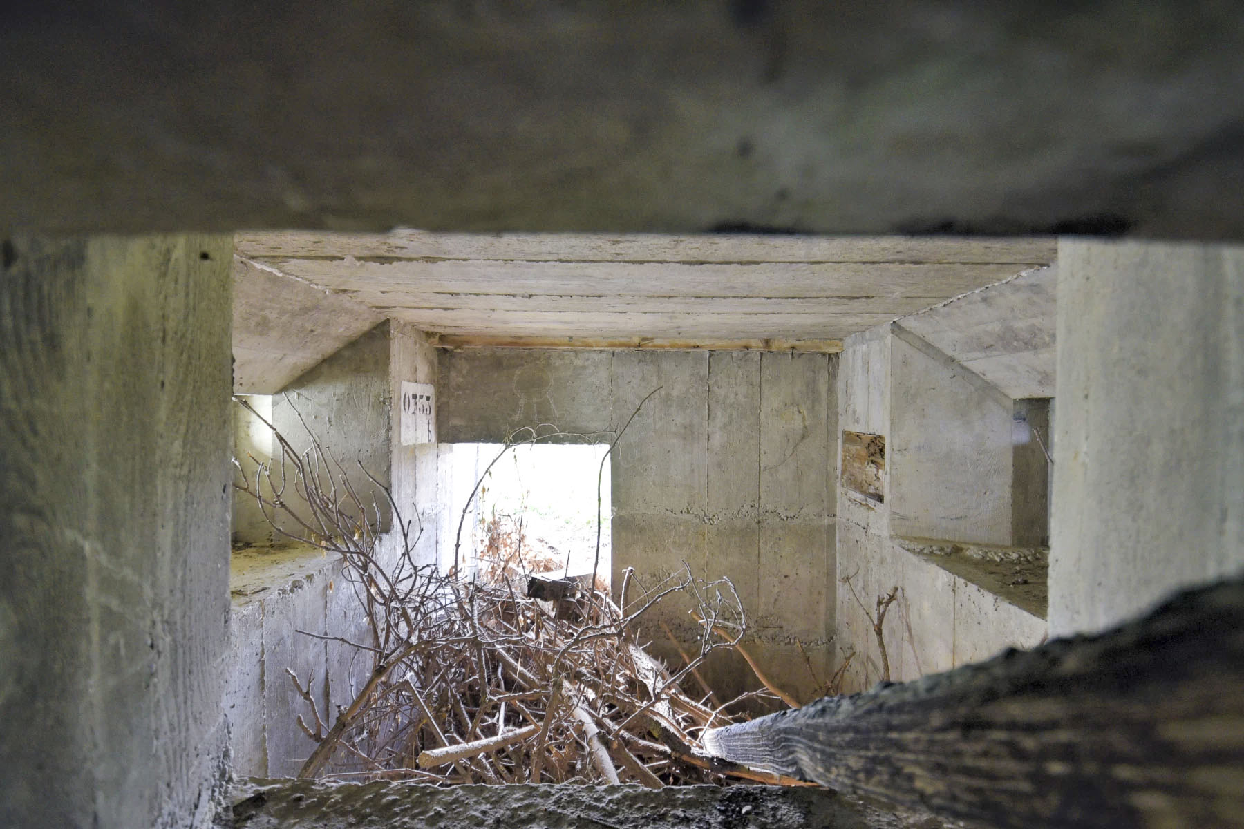Ligne Maginot - EISWASSER NORD - (Blockhaus pour arme infanterie) -  - Ludovic KNAPP