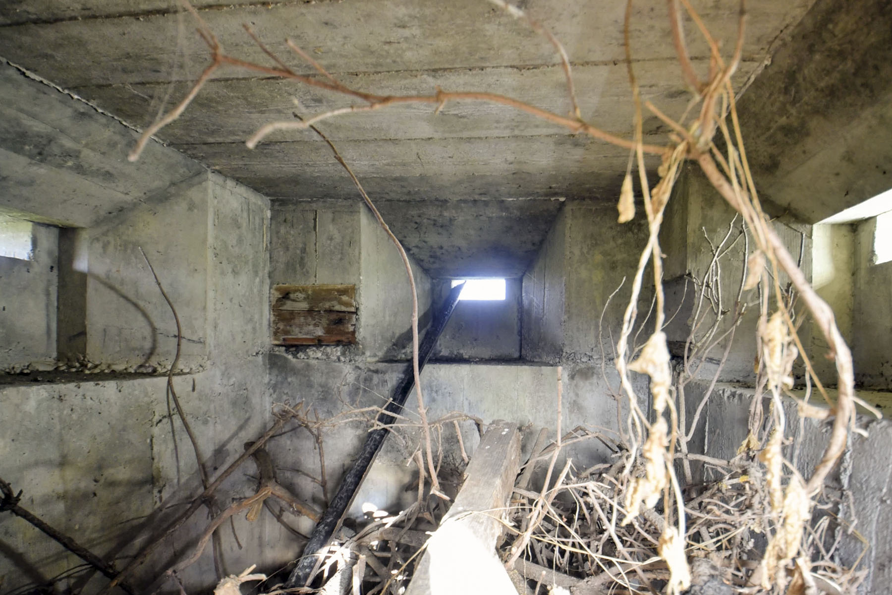 Ligne Maginot - EISWASSER NORD - (Blockhaus pour arme infanterie) -  - Ludovic KNAPP