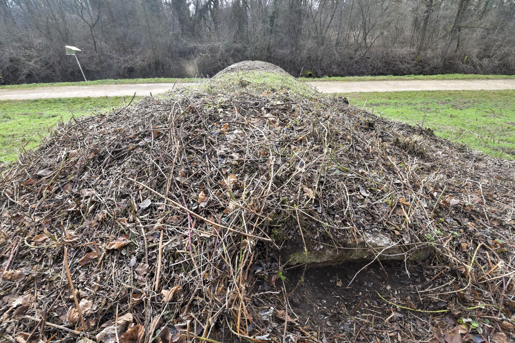 Ligne Maginot - VILLAGE-NEUF BERGE 2A - (Abri) -  - Ludovic KNAPP
