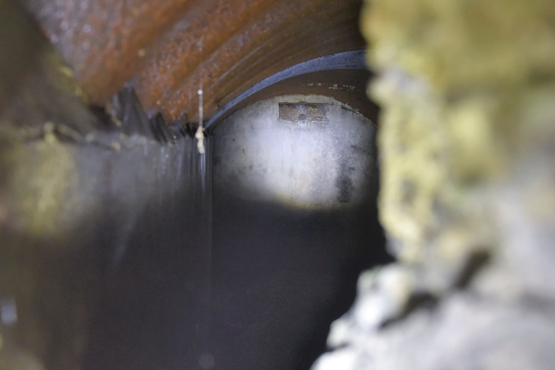 Ligne Maginot - VILLAGE-NEUF BERGE 2A - (Abri) -  - Ludovic KNAPP