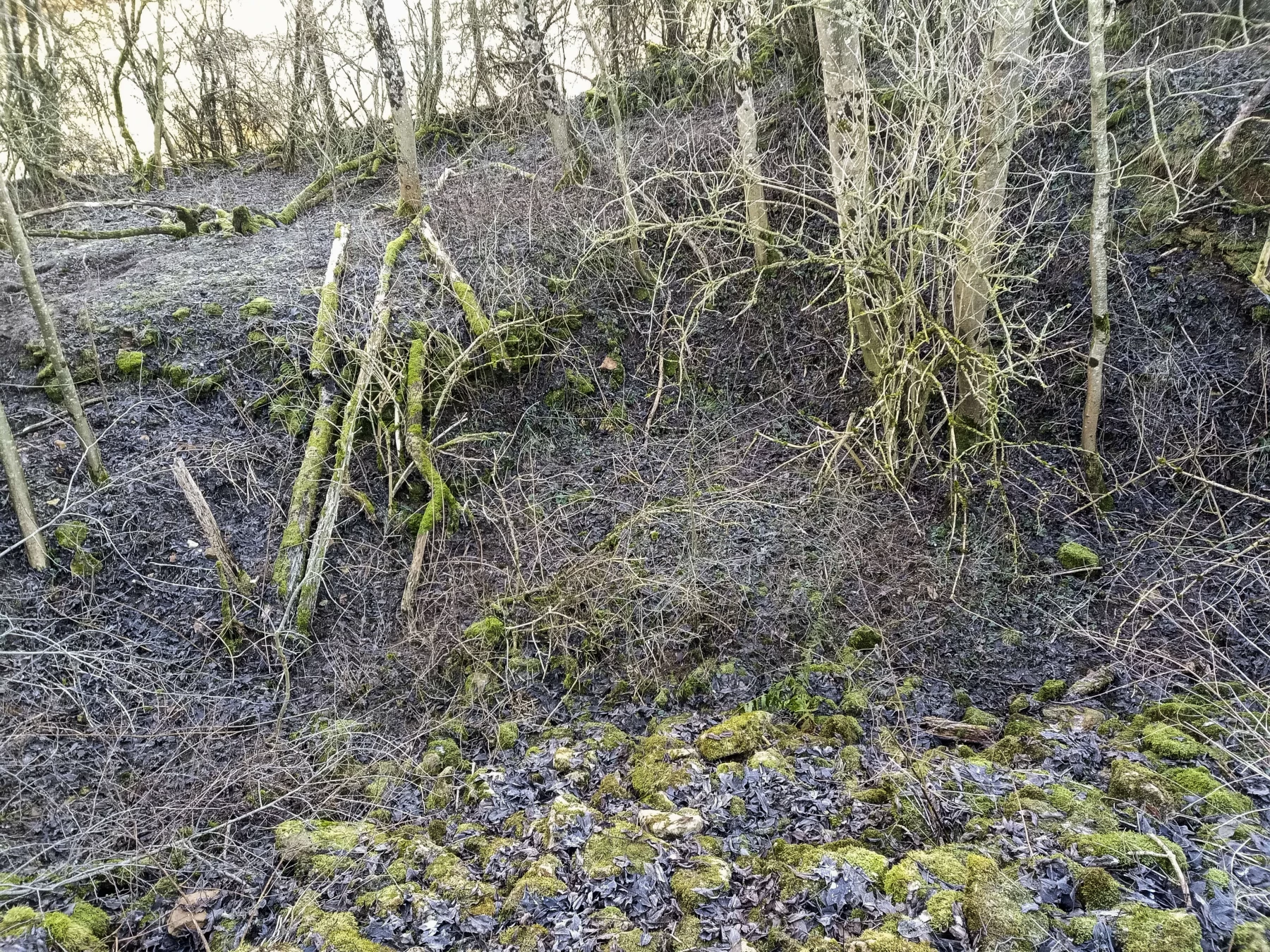 Ligne Maginot - DB370 - (Blockhaus pour canon) -  - Marc Fossoul