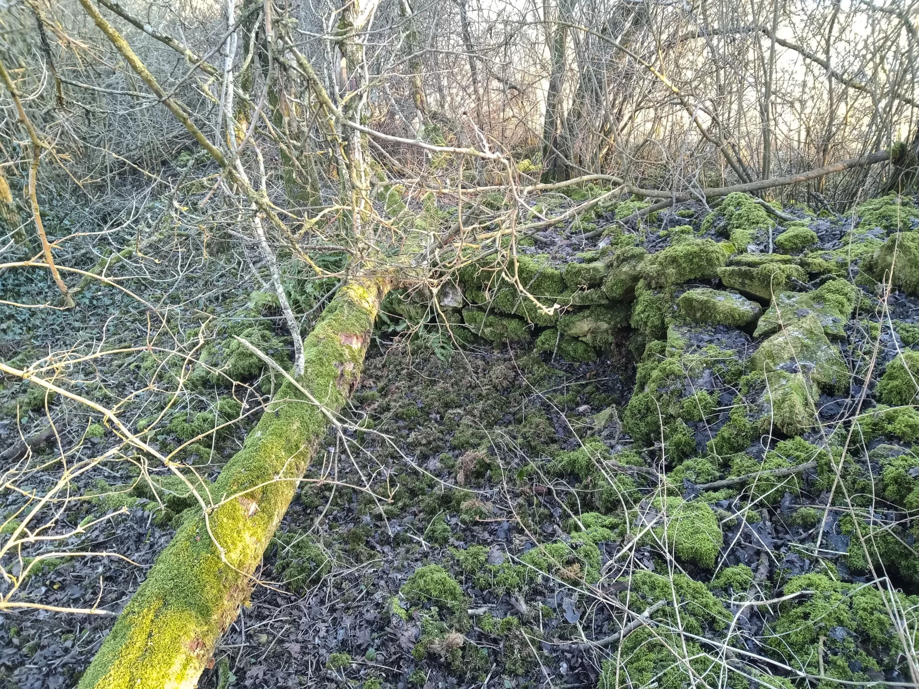 Ligne Maginot - DB370 - (Blockhaus pour canon) - Deuxième fouille à quelques dizaines de mètres - Marc Fossoul