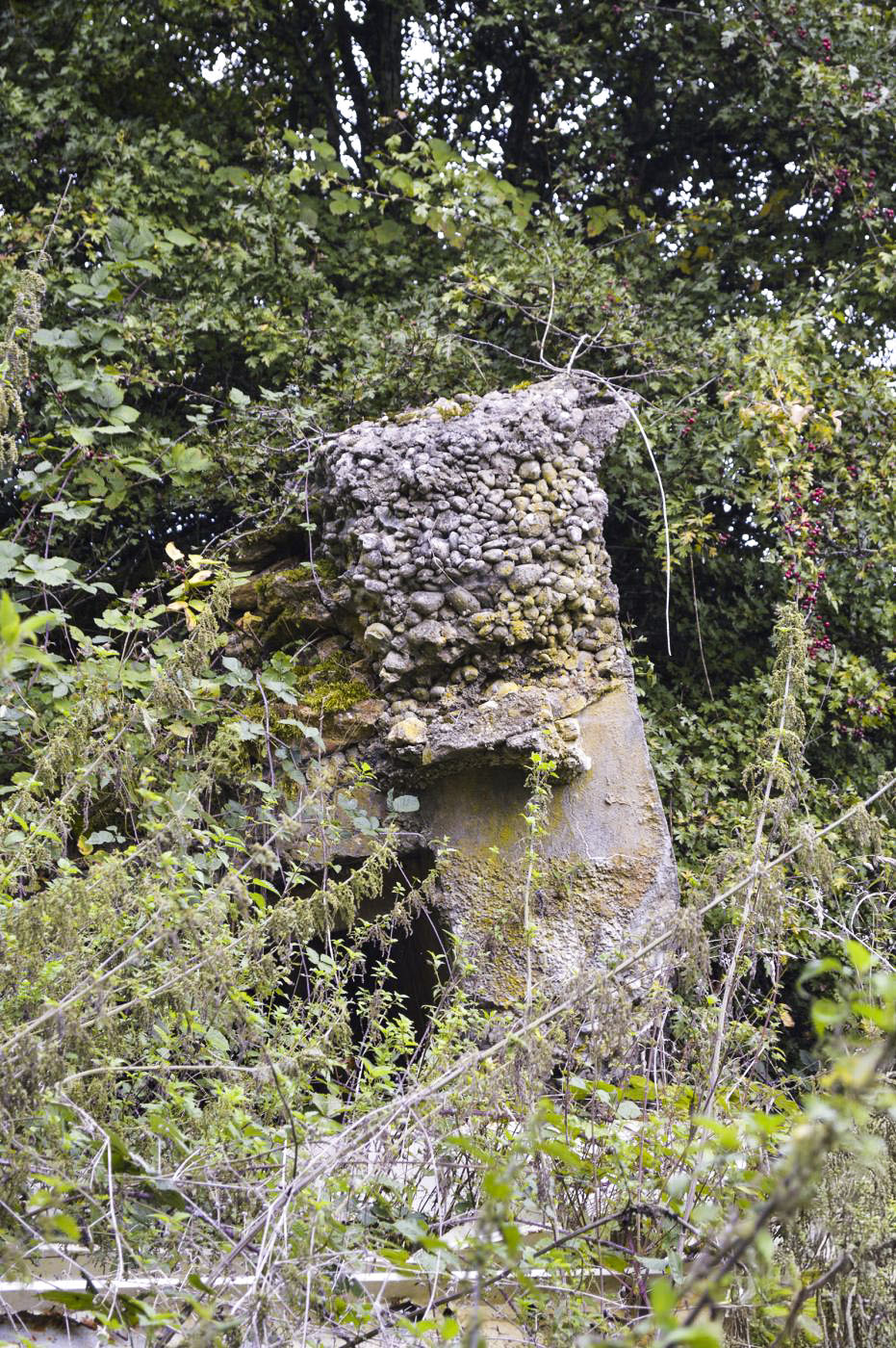 Ligne Maginot - Blockhaus  Dbo 9 - Les restes du blockhaus - ukmaginot