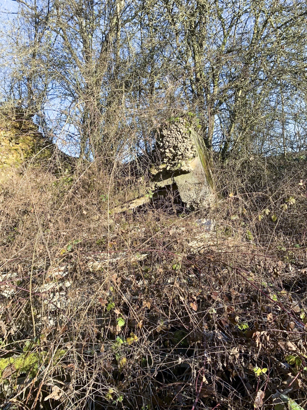 Ligne Maginot - DBO9 - (Blockhaus pour canon) -  - Marc Fossoul