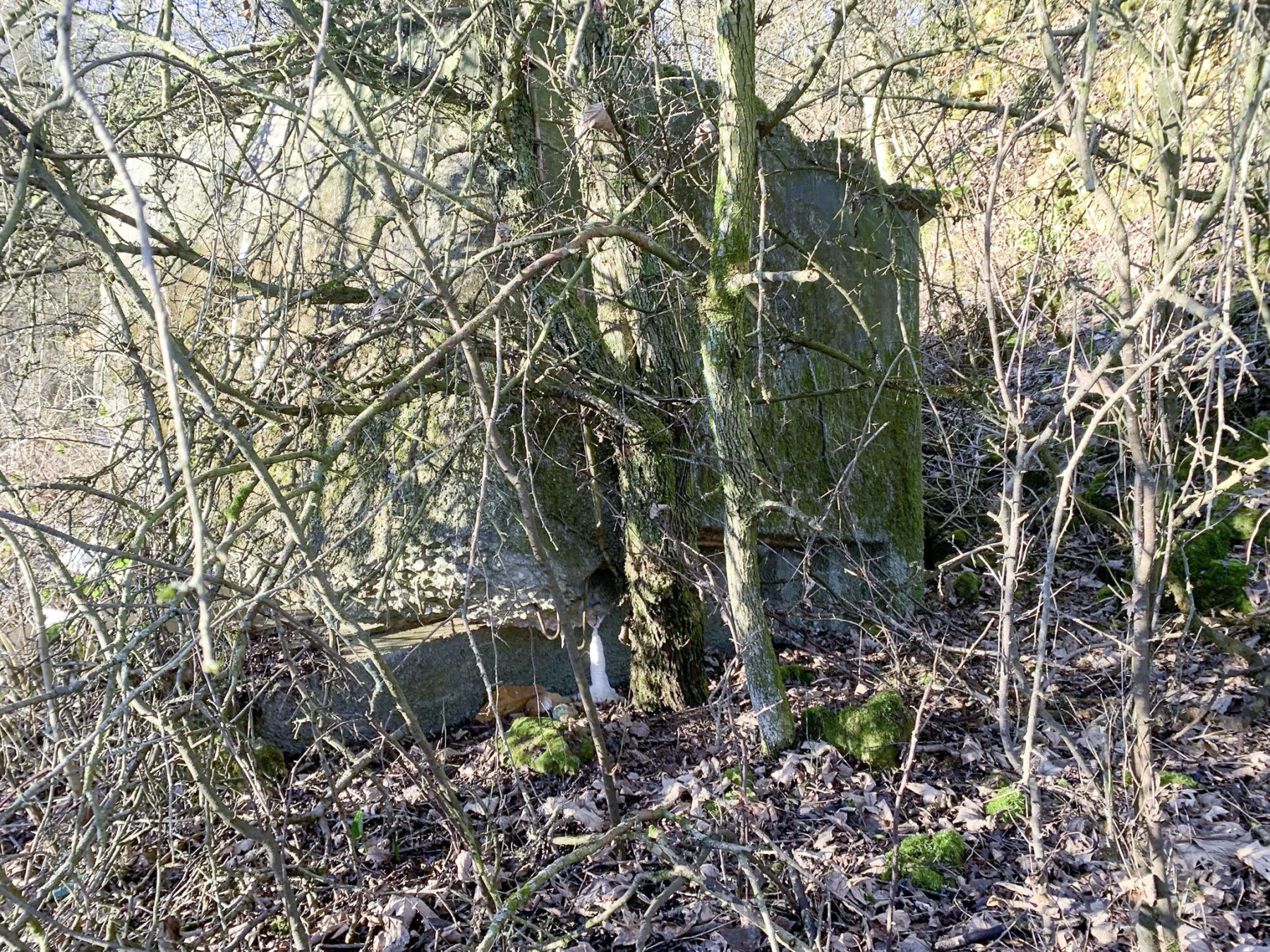 Ligne Maginot - DBO9 - (Blockhaus pour canon) -  - Marc Fossoul