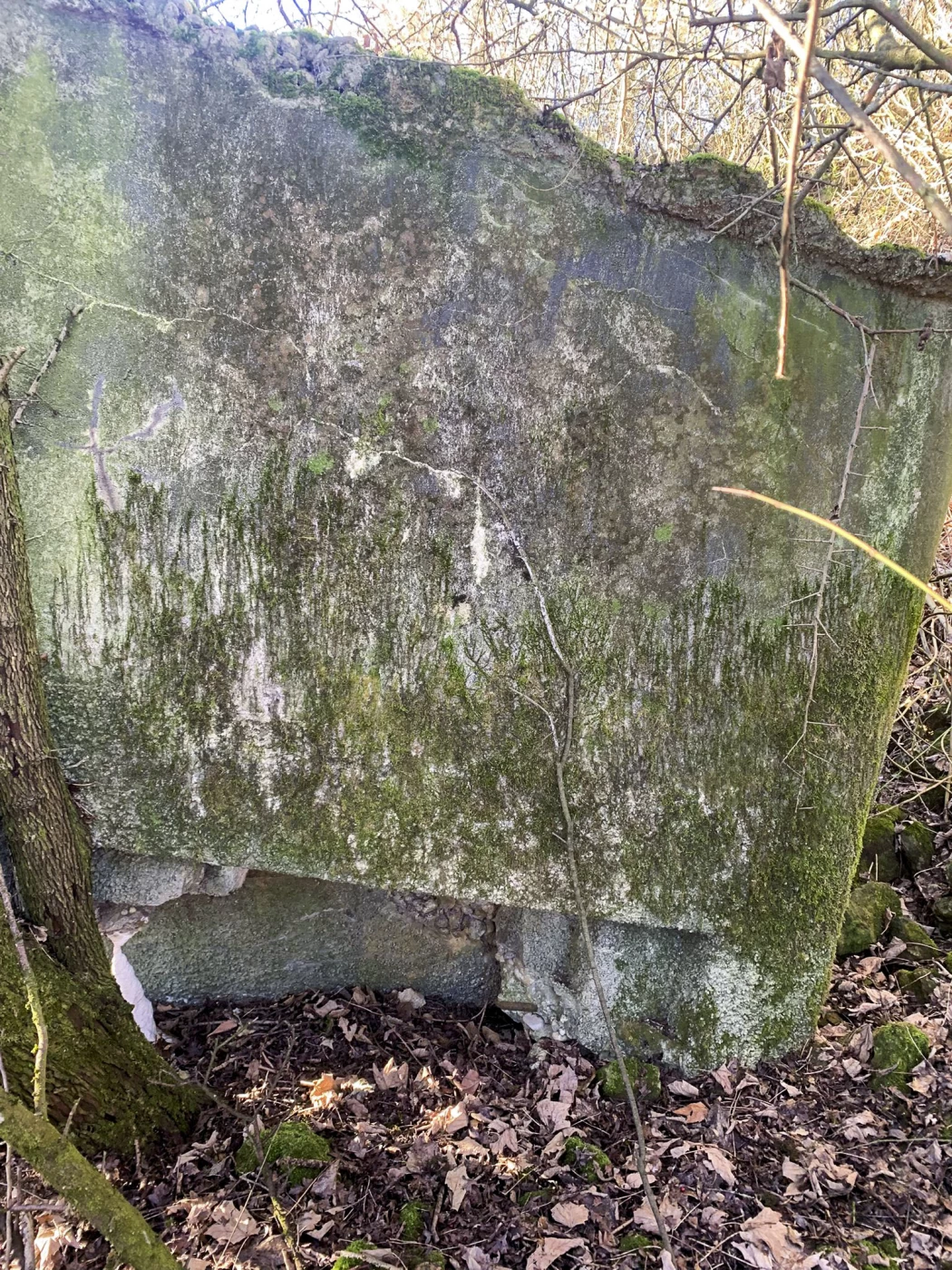 Ligne Maginot - DBO9 - (Blockhaus pour canon) -  - Marc Fossoul