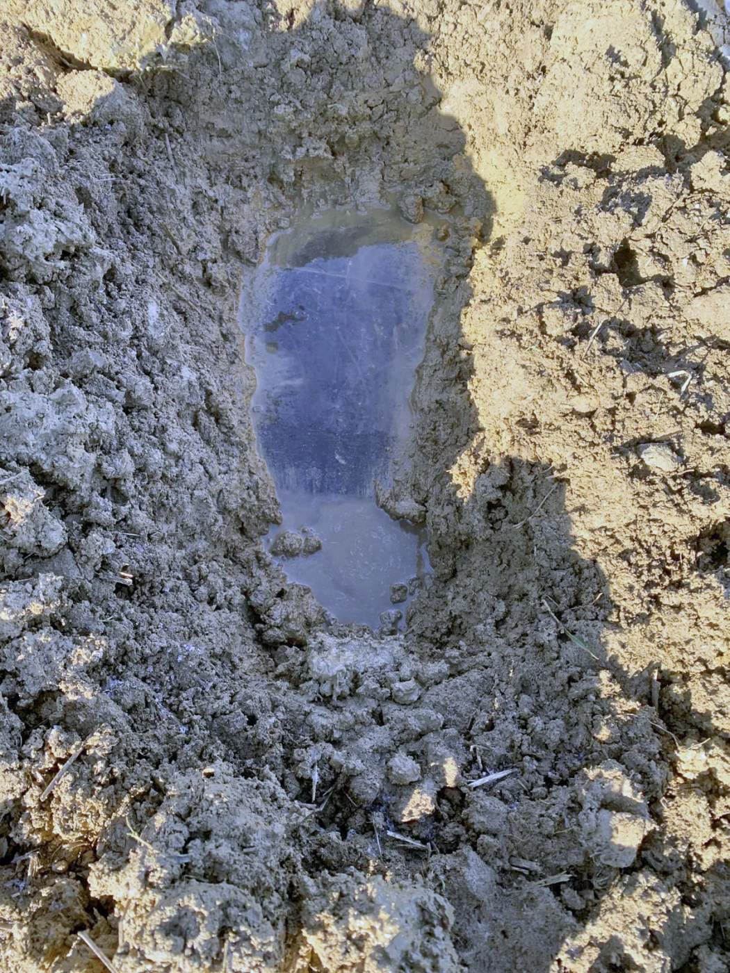 Ligne Maginot - 33L - (Chambre de coupure) - Après quelques creusements, le béton devient visible - Marc Fossoul