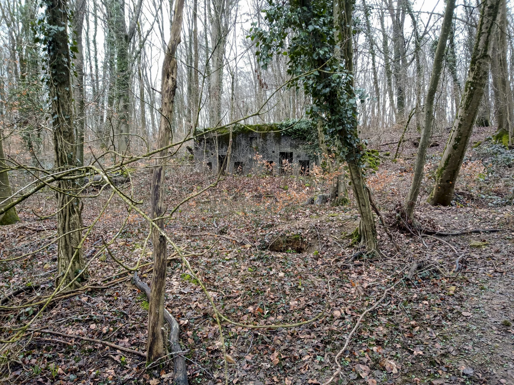 Ligne Maginot - GRAND BOIS OUEST - (PC) -  - Marc Fossoul