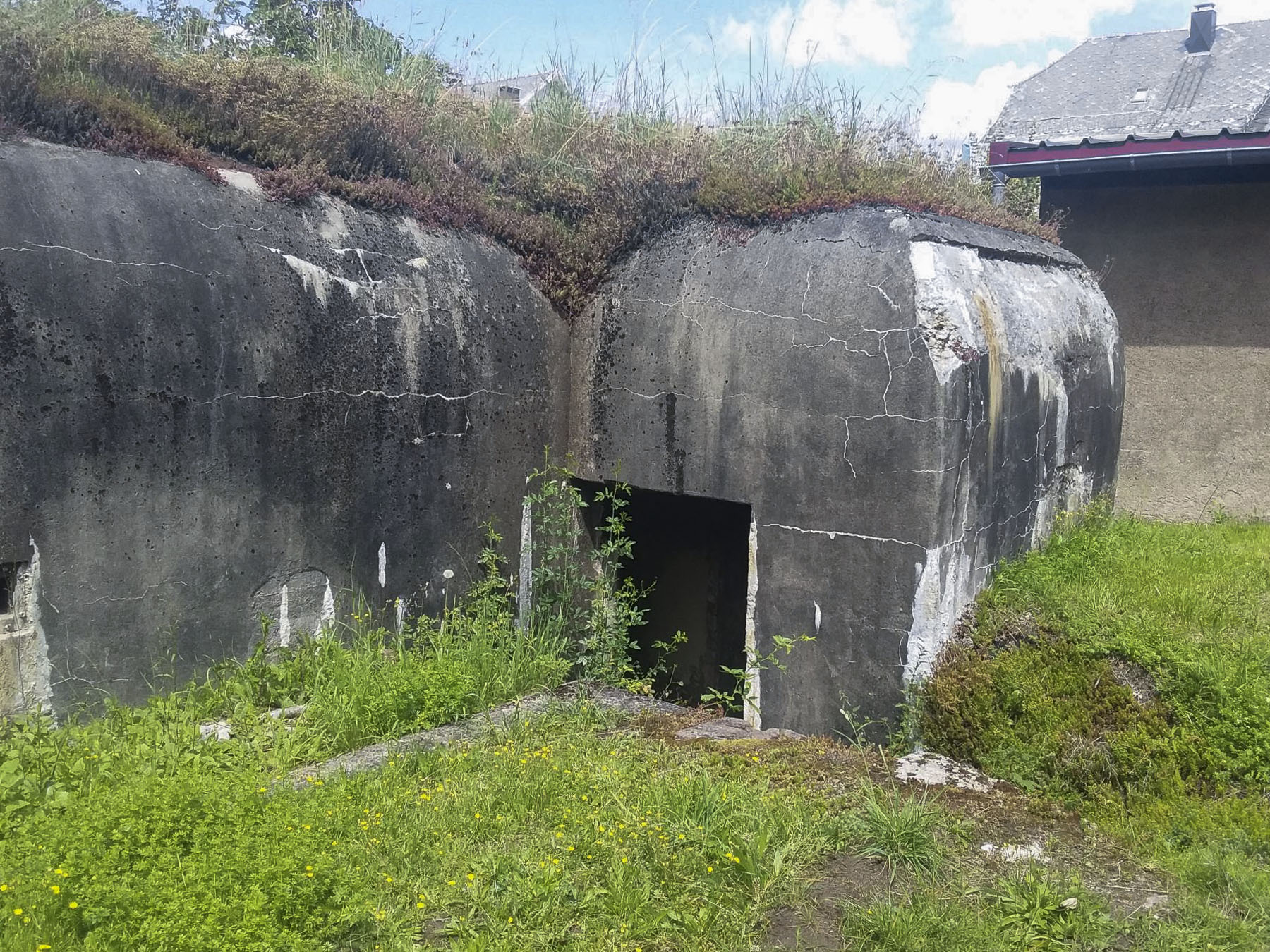Ligne Maginot - WANGENBOURG - CENTRAL PROTéGé (5° ARMéE) - (Central téléphonique isolé) -  - Joel Muntzinger