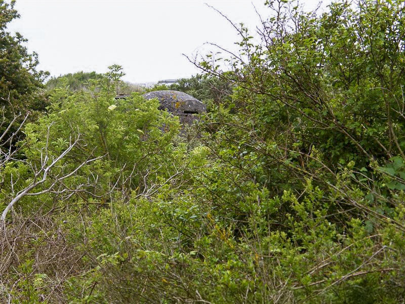 Ligne Maginot - B9 - LES DUNES 9 - (Blockhaus pour arme infanterie) -  - Jean-Louis AUBLET & Sylvie MAINGUIN