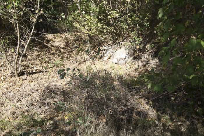 Ligne Maginot - B19 - LES DUNES 19 - (Blockhaus pour arme infanterie) -  - Jean PUELINCKX