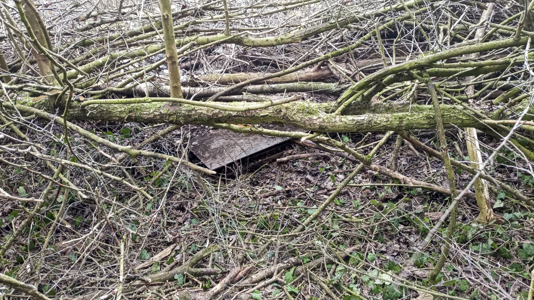 Ligne Maginot - 52L - (Chambre de coupure) -  - Marc Fossoul