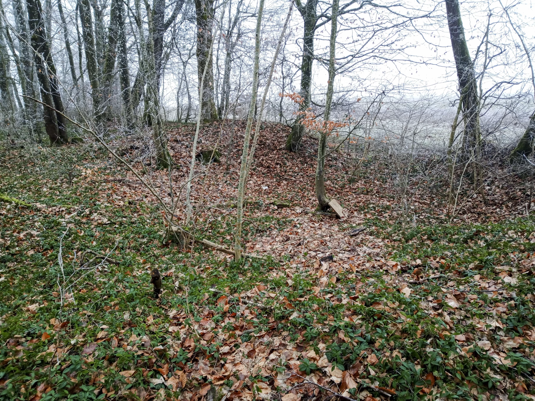 Ligne Maginot - DB258 - (Blockhaus pour canon) - La fouille - Marc Fossoul