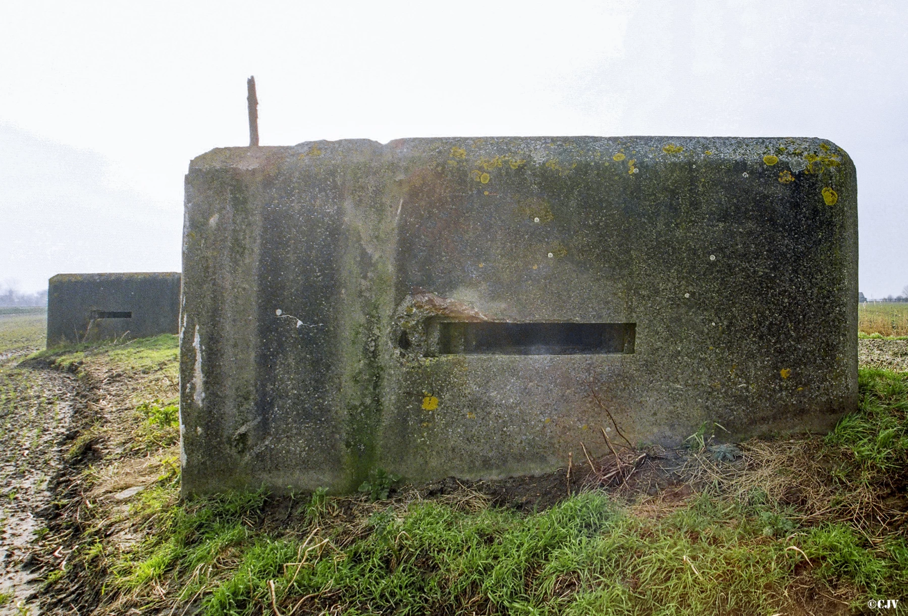 Ligne Maginot - B50 - MOULIN DU RHIN 3 - (Blockhaus pour arme infanterie) -  - Caspar Vermeulen