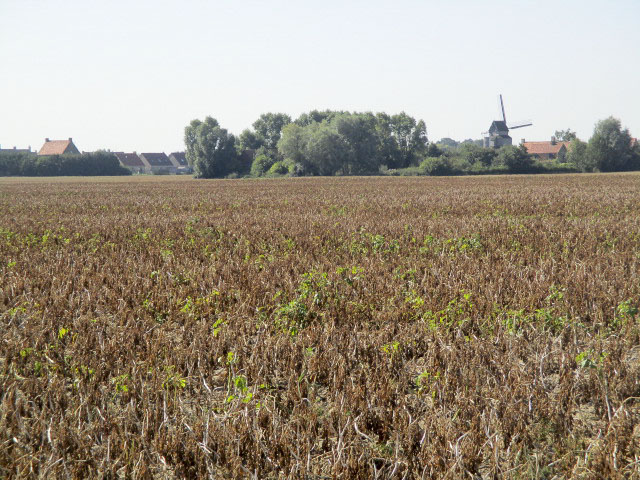 Ligne Maginot - B58 - TROIS ROIS Sud 2 - (Blockhaus pour arme infanterie) 2 - Situé dans cet environnement, le blockhaus B58 - Trois Rois Sud 2 a été détruit - Smardz Félix