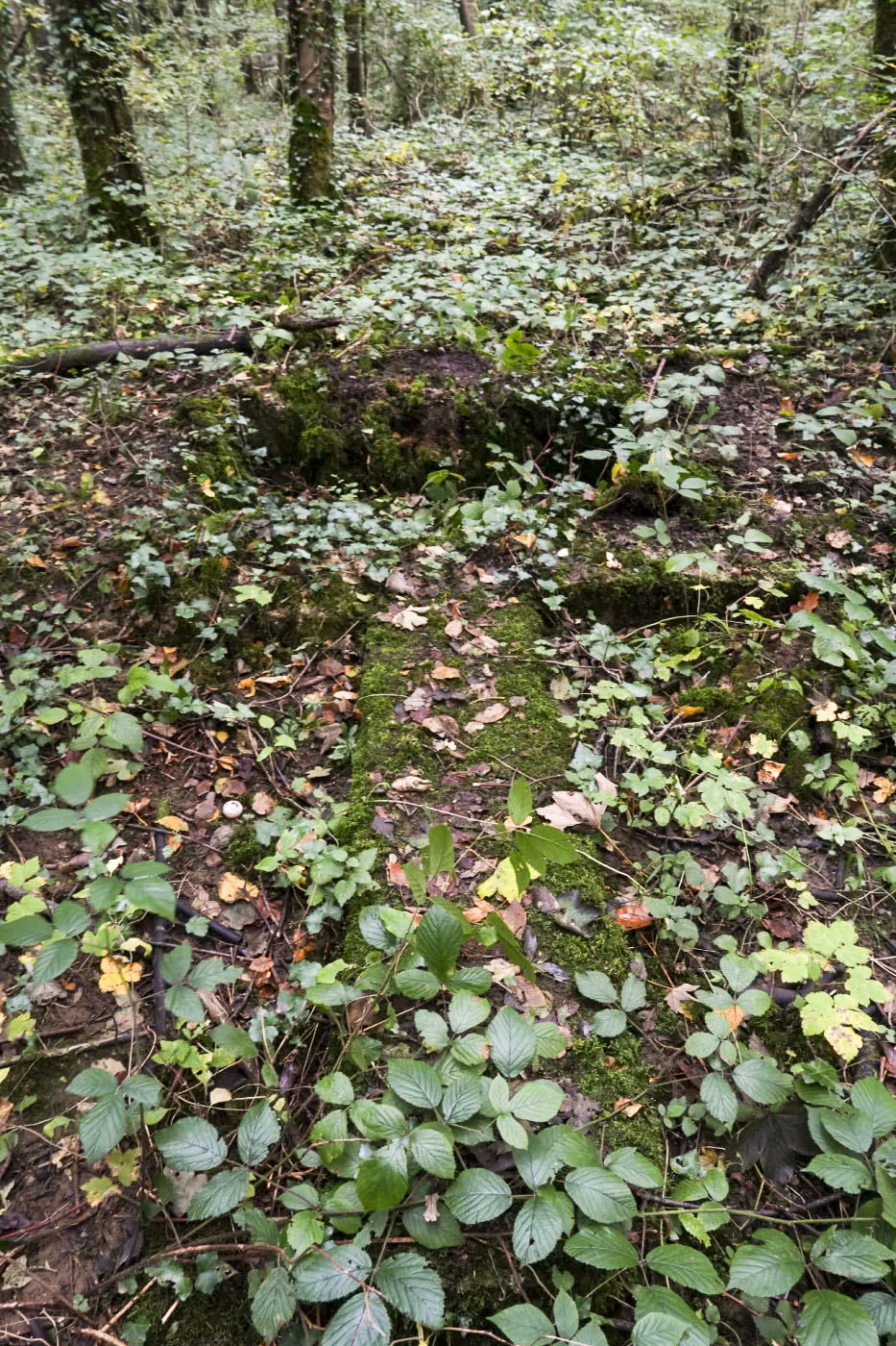 Ligne Maginot - BOIS DE LATIREMONT - (Cuve pour arme d'infanterie) -  - duomaxw