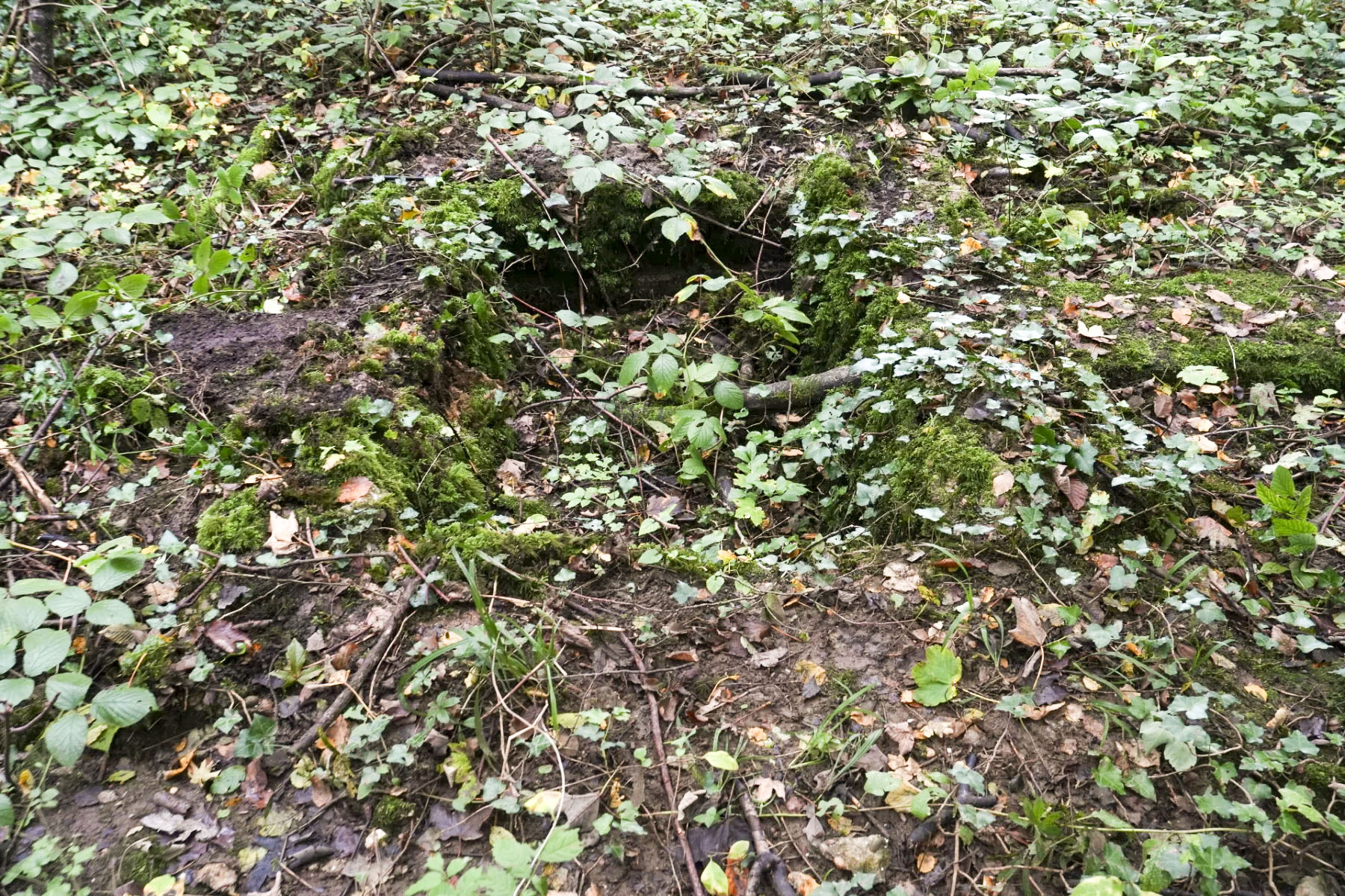 Ligne Maginot - BOIS DE LATIREMONT - (Cuve pour arme d'infanterie) -  - duomaxw