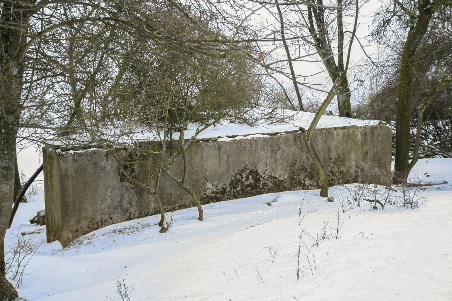 Ligne Maginot - CB316 - BROMMELSBERG SUD - (Blockhaus pour arme infanterie) -  - Michel Teiten