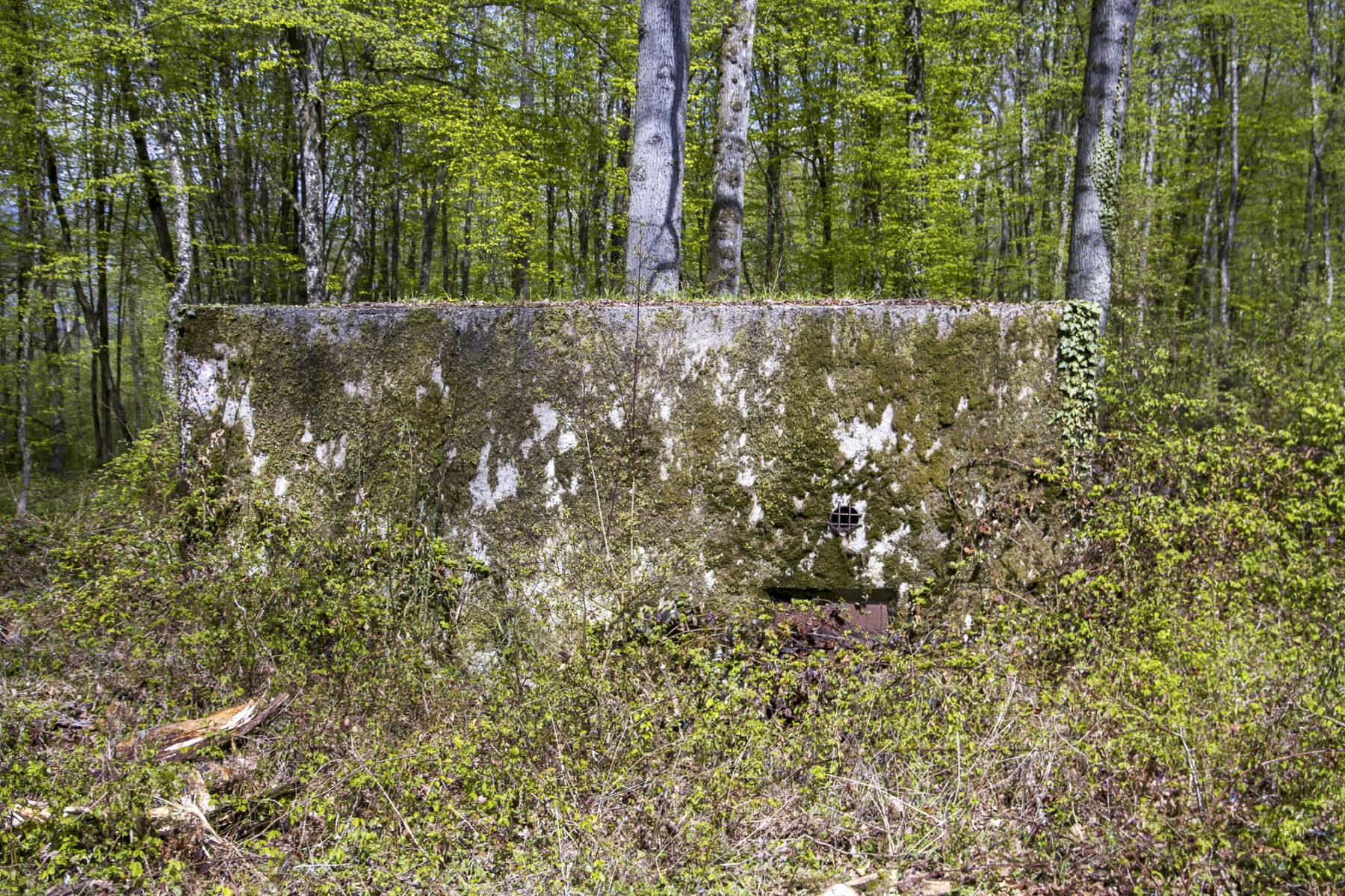 Ligne Maginot - CB301 - KANFENER BUSCH 7 - (Blockhaus pour canon) - Vue latérale côté entrée du personnel - Michel Teiten