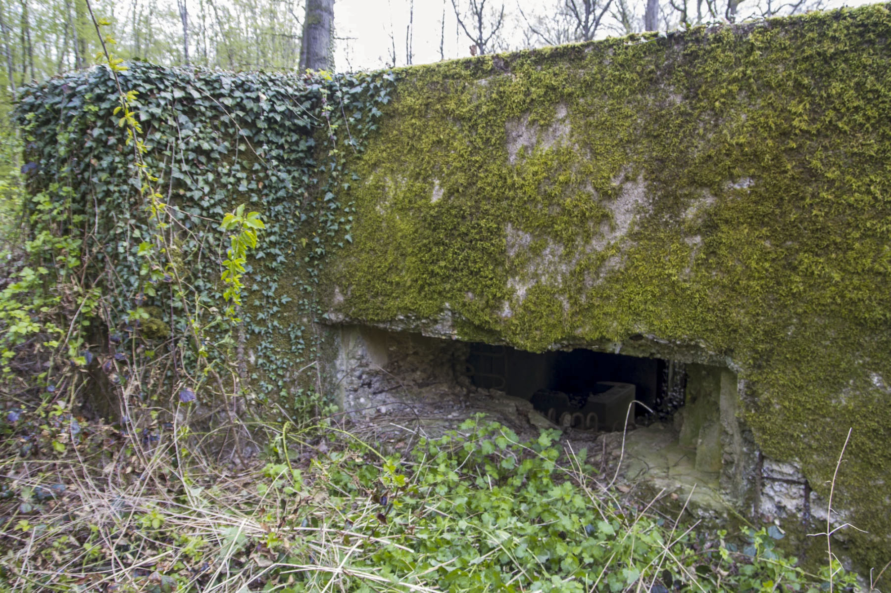 Ligne Maginot - CB301 - KANFENER BUSCH 7 - (Blockhaus pour canon) -  - Michel Teiten