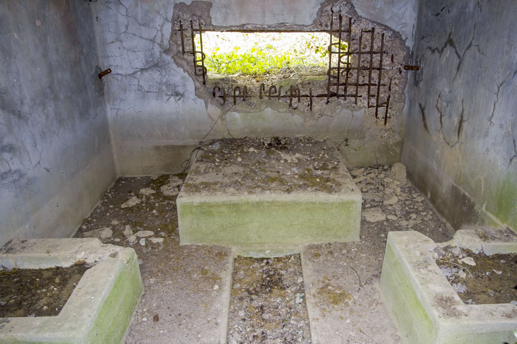 Ligne Maginot - CB301 - KANFENER BUSCH 7 - (Blockhaus pour canon) -  - Michel Teiten