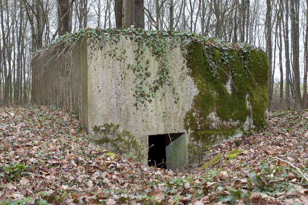 Ligne Maginot - KANFENER BUSCH 5 - (Blockhaus pour arme infanterie) -  - www.arnaultjl-photo.com