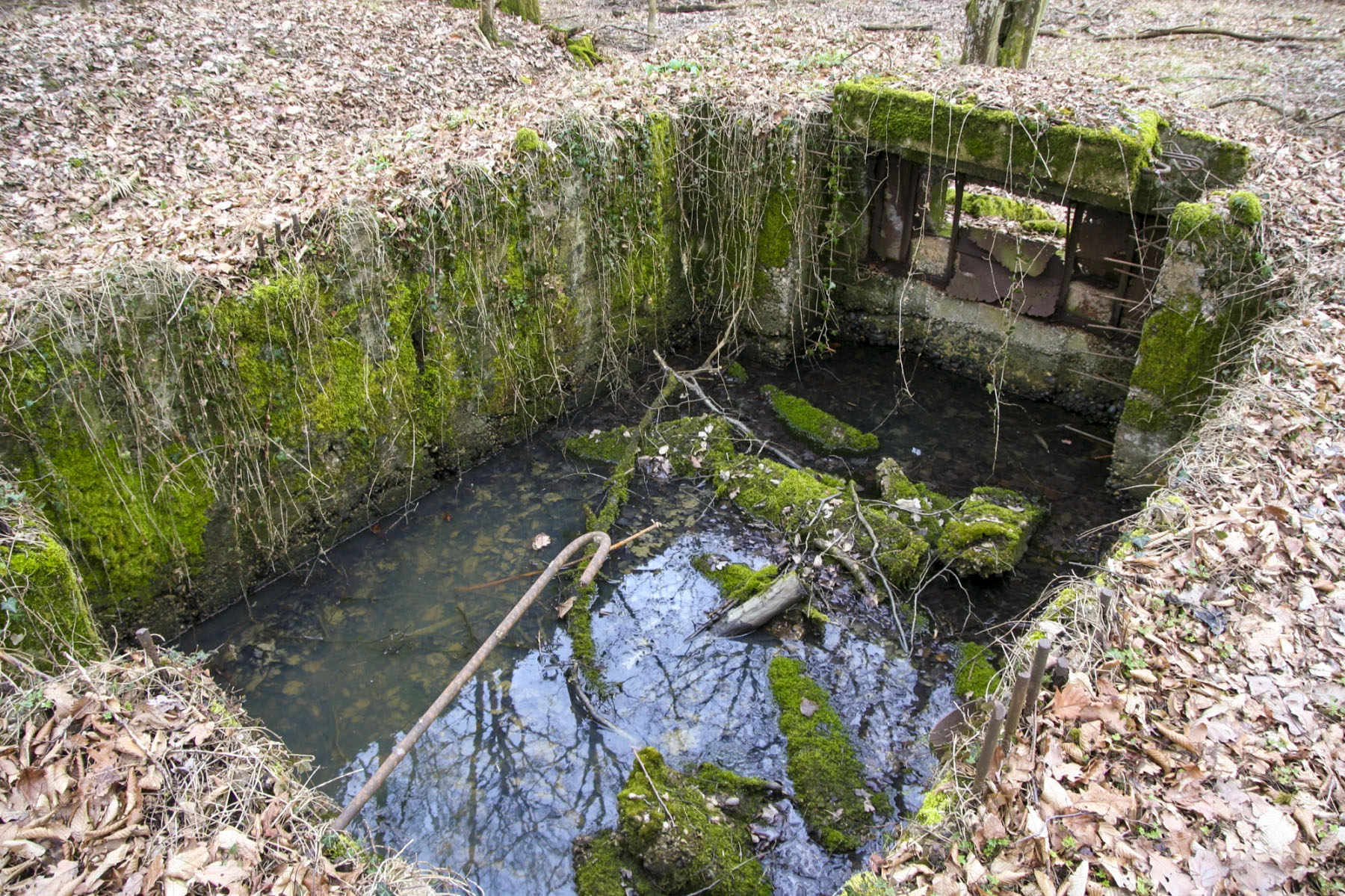 Ligne Maginot - CB224 - BOIS DE CATTENOM 06 - (Blockhaus pour canon) -  - Michel Teiten