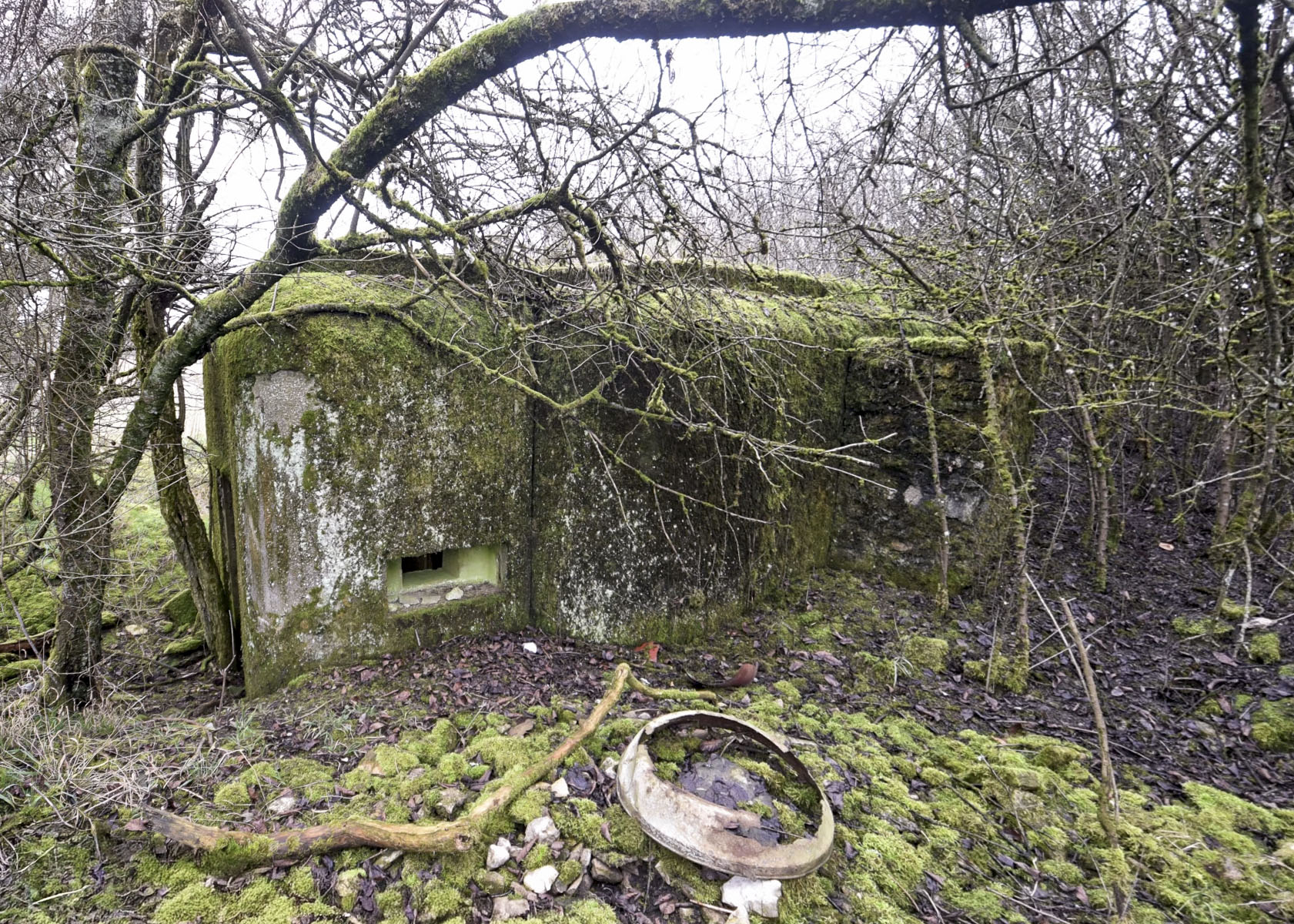 Ligne Maginot - BREITTUER 1 - (Blockhaus pour arme infanterie) -  - Ludovic KNAPP