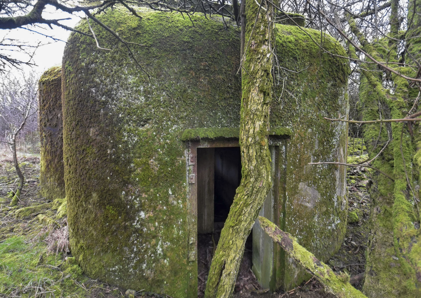 Ligne Maginot - BREITTUER 1 - (Blockhaus pour arme infanterie) -  - Ludovic KNAPP