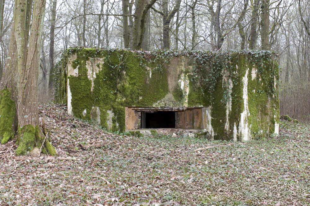 Ligne Maginot - CB302 - KANFENER BUSCH 6 - (Blockhaus pour canon) - Vue générale - www.arnaultjl-photo.com