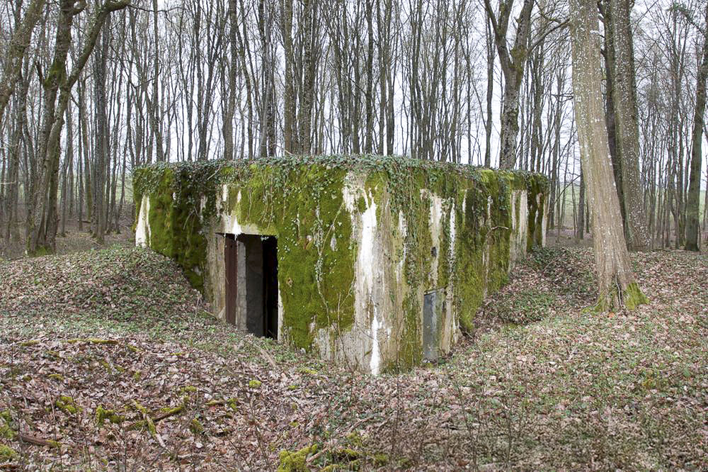 Ligne Maginot - CB302 - KANFENER BUSCH 6 - (Blockhaus pour canon) - Vue générale - www.arnaultjl-photo.com