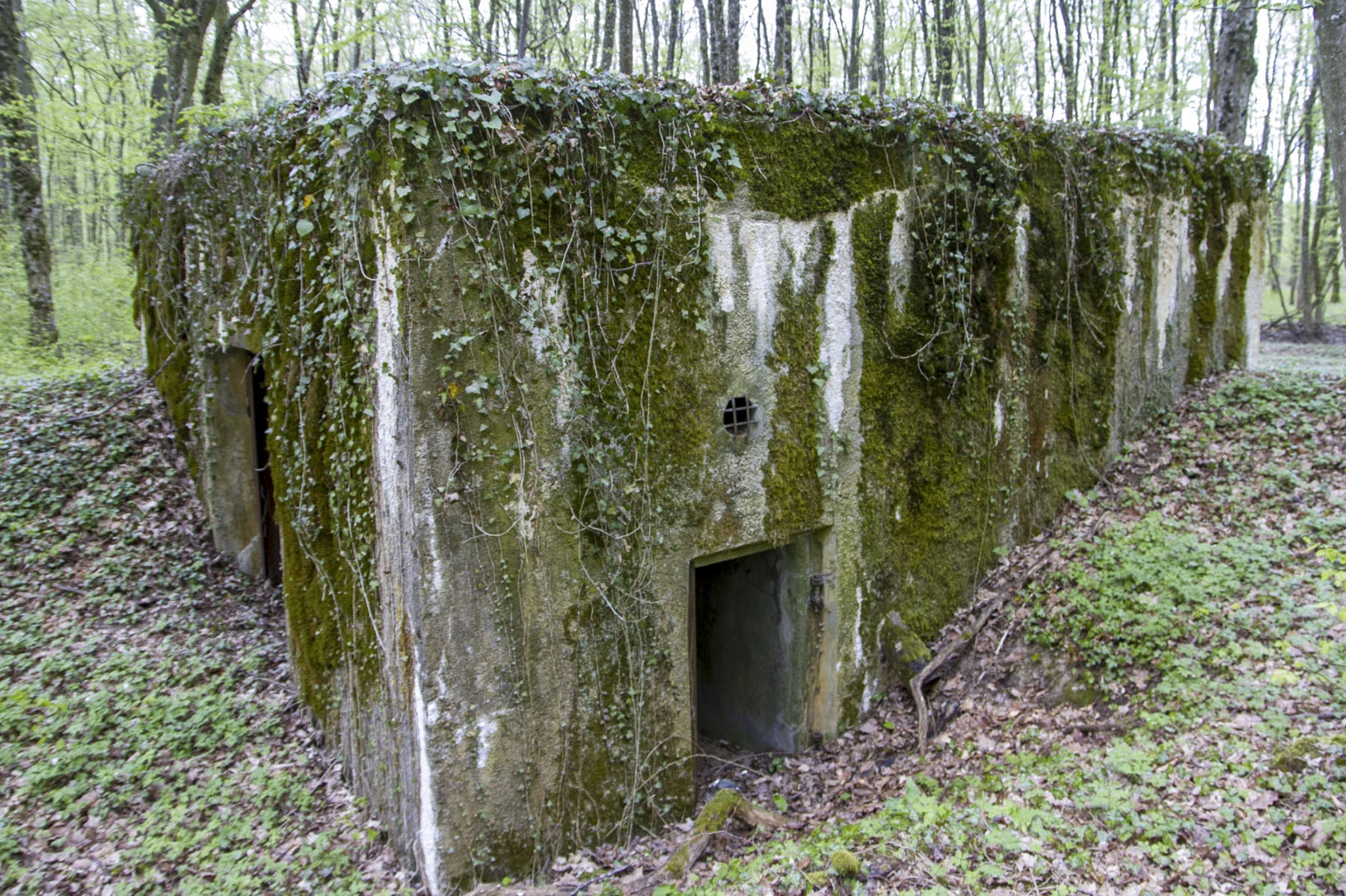 Ligne Maginot - CB302 - KANFENER BUSCH 6 - (Blockhaus pour canon) - Les entrées - Michel Teiten