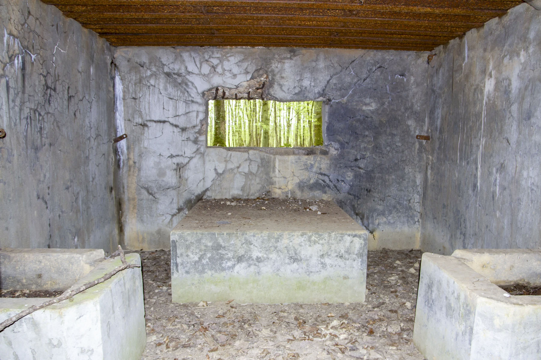Ligne Maginot - CB302 - KANFENER BUSCH 6 - (Blockhaus pour canon) -  - Michel Teiten
