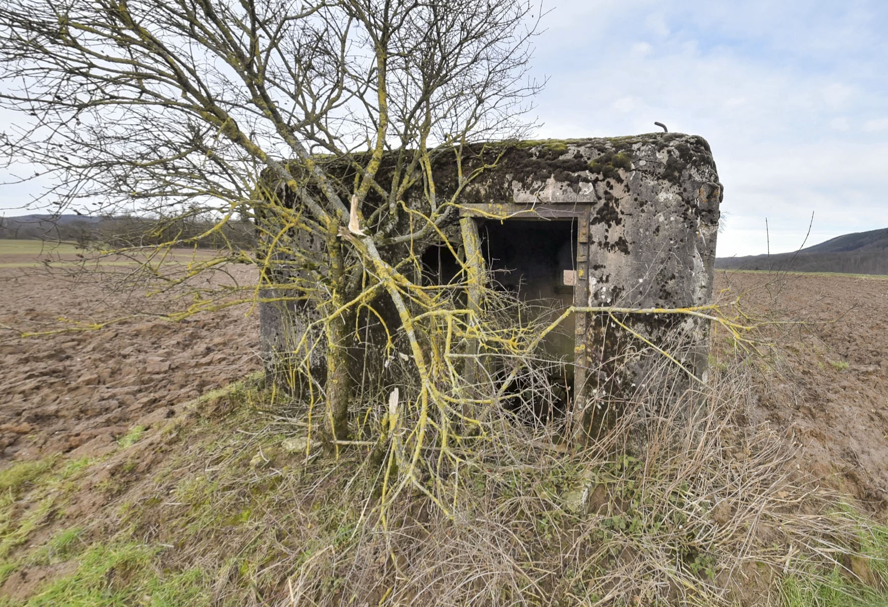 Ligne Maginot - LIES 1 - (Blockhaus pour arme infanterie) -  - Ludovic KNAPP