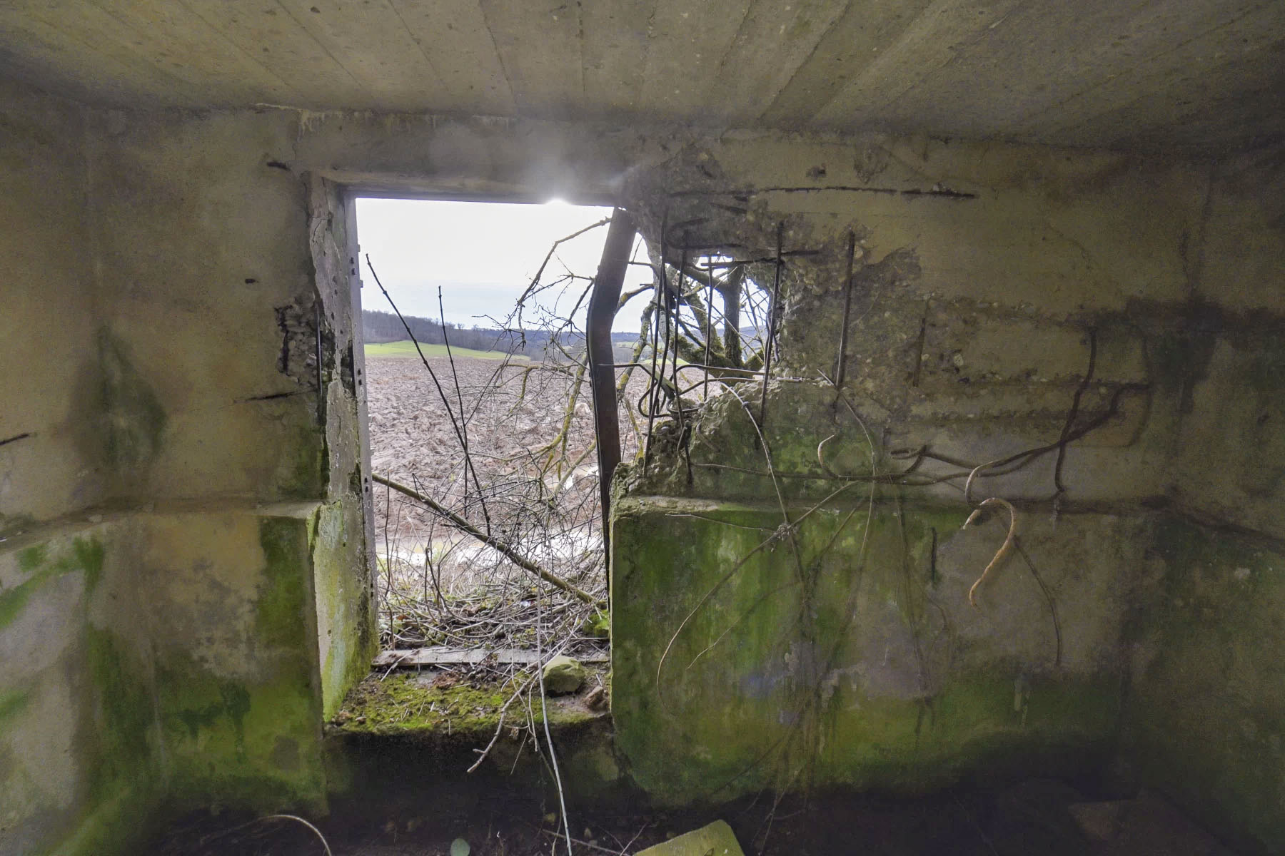 Ligne Maginot - LIES 1 - (Blockhaus pour arme infanterie) -  - Ludovic KNAPP