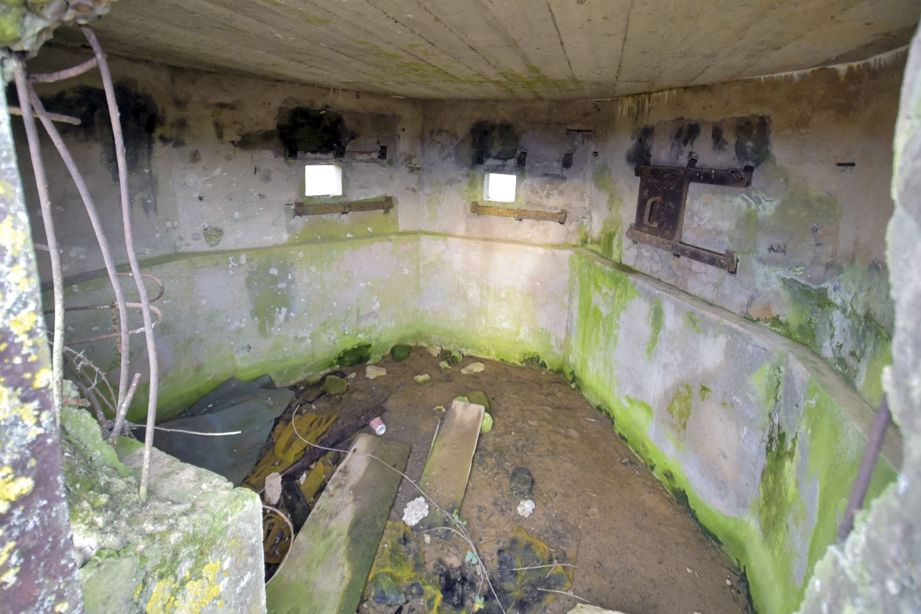 Ligne Maginot - LIES 1 - (Blockhaus pour arme infanterie) -  - Ludovic KNAPP