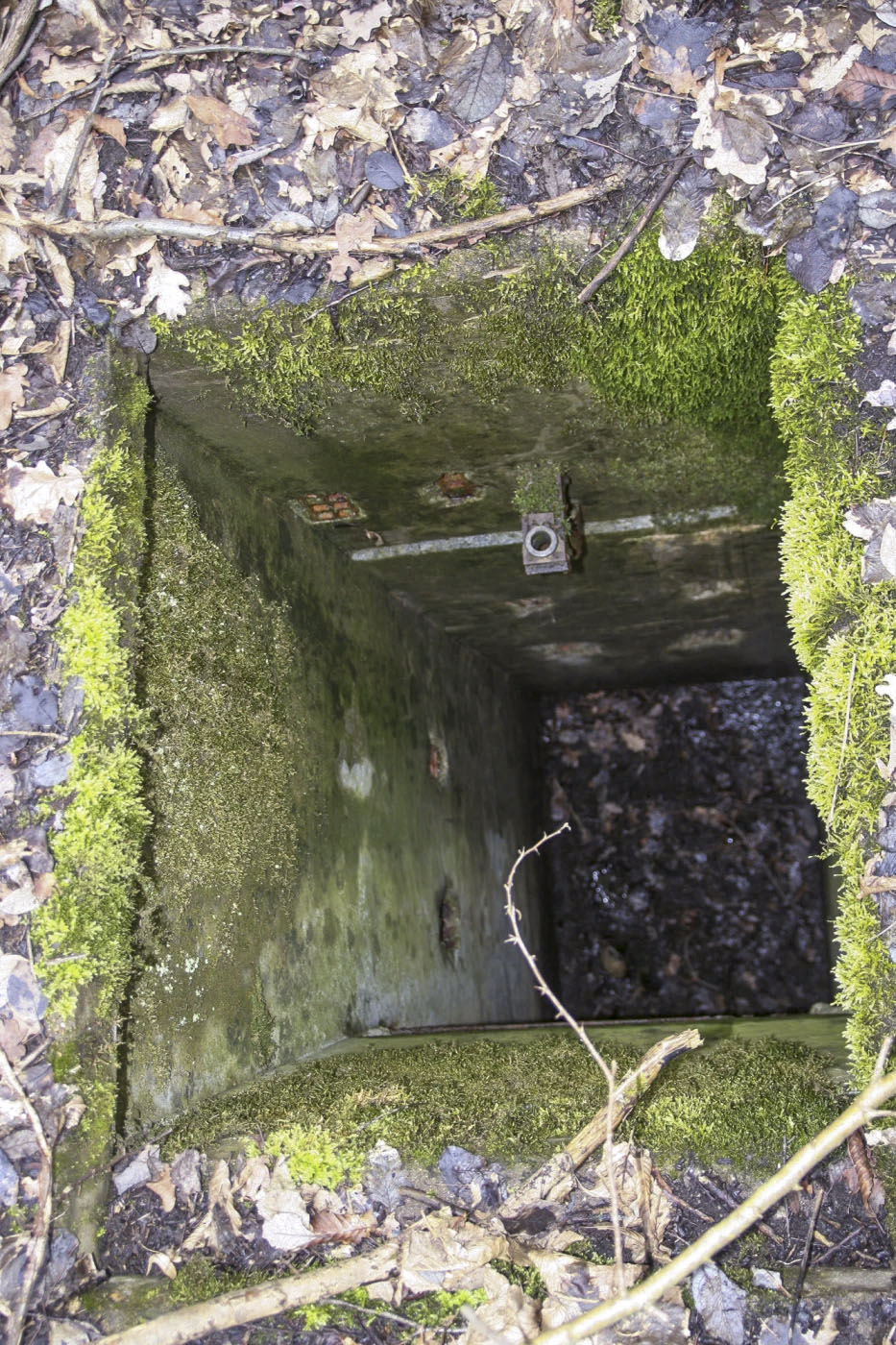 Ligne Maginot - O44 - WEIHERGRABEN - (Observatoire d'artillerie) - Vue de l'un des deux puits d'observation - Michel Teiten