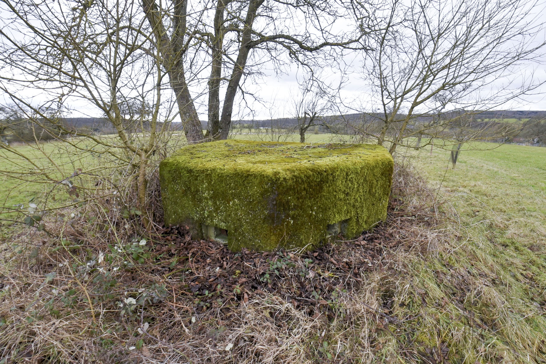 Ligne Maginot - BREITTUER 3 - (Blockhaus pour arme infanterie) -  - Ludovic KNAPP