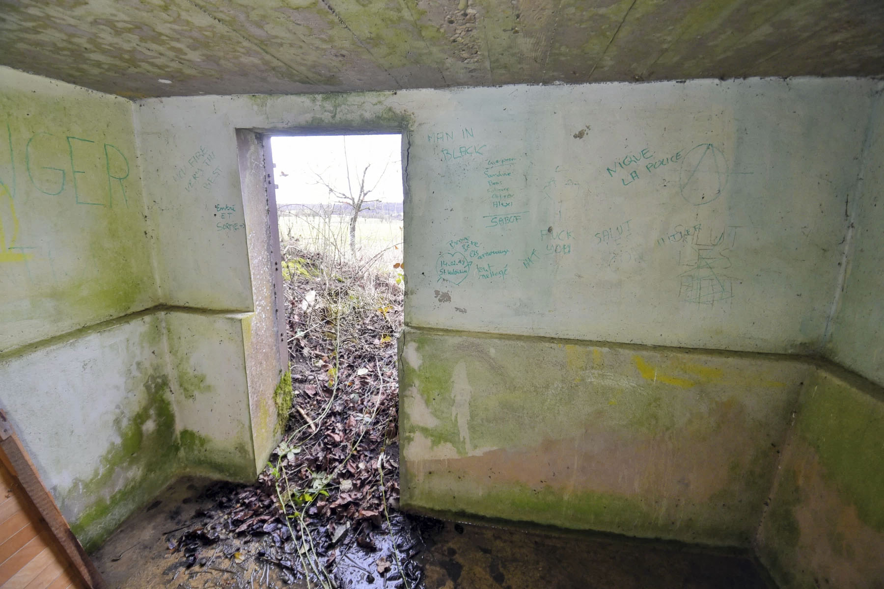 Ligne Maginot - BREITTUER 3 - (Blockhaus pour arme infanterie) -  - Ludovic KNAPP