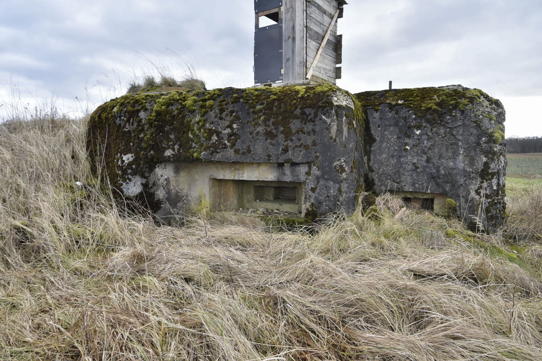 Ligne Maginot - ANDELSBERG 1 - (Blockhaus pour arme infanterie) -  - Ludovic KNAPP