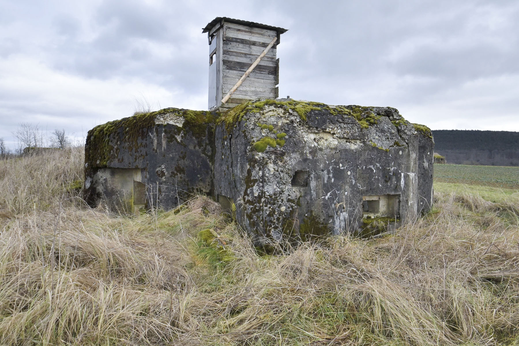 Ligne Maginot - ANDELSBERG 1 - (Blockhaus pour arme infanterie) -  - Ludovic KNAPP
